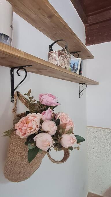La Casina Lägenhet Capodimonte Exteriör bild